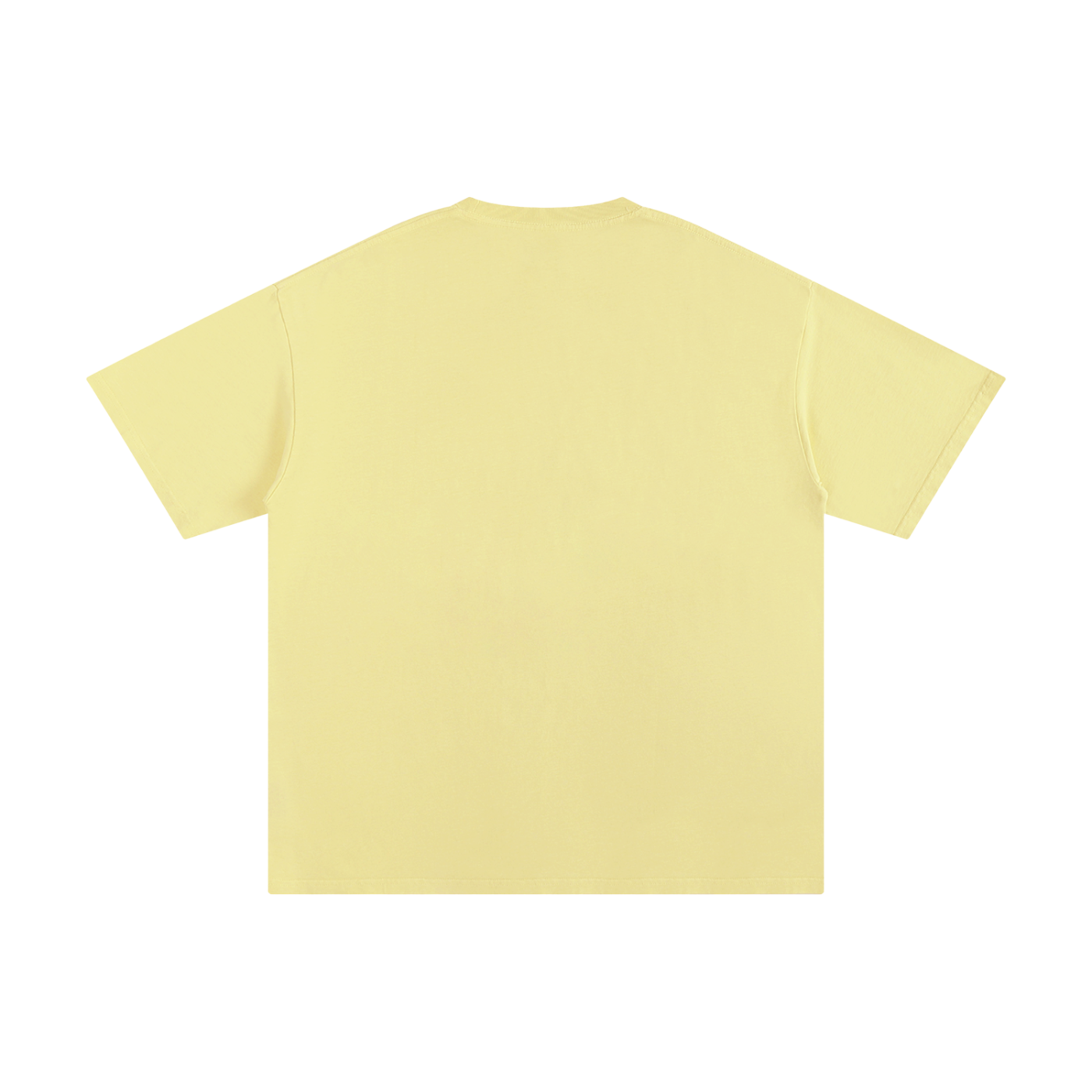 The Word Nation I can do all things Unisex T-shirt | Spread the word with a Tee | Round neck | 100% cotton