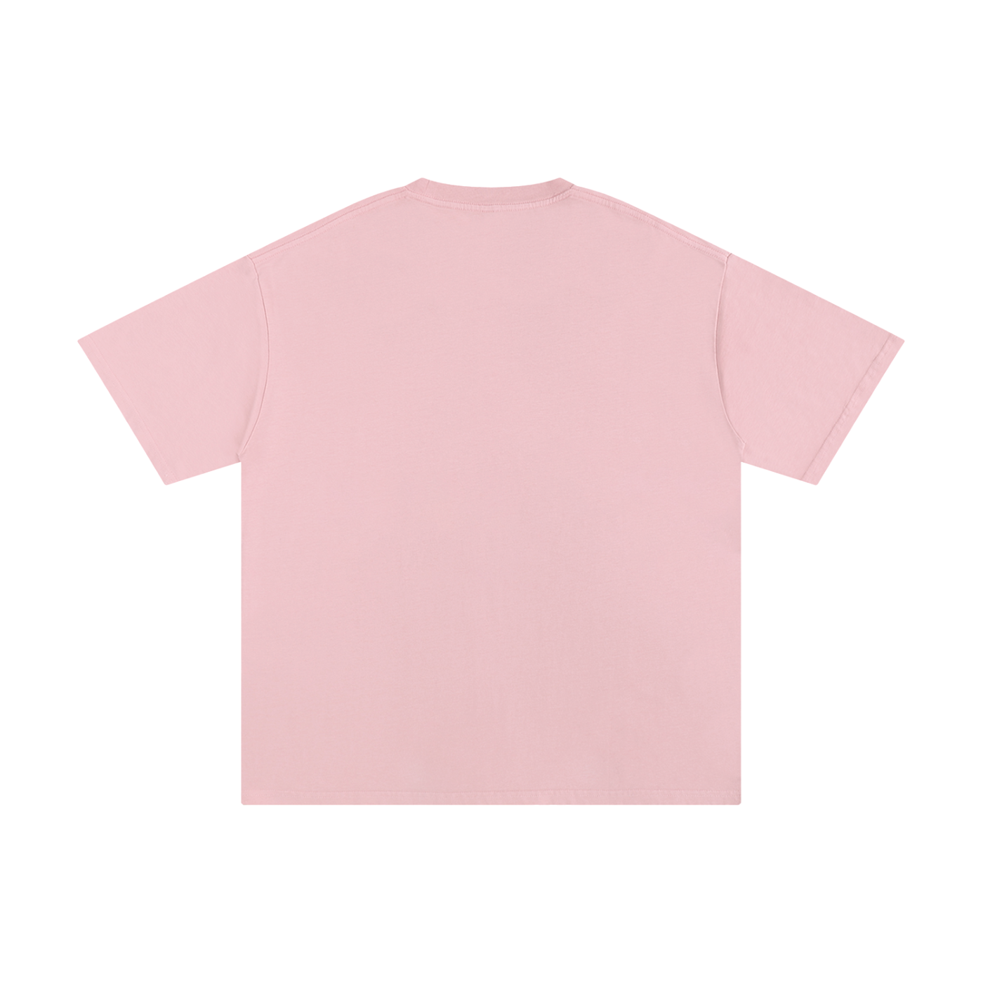 The Word Nation I can do all things Unisex T-shirt | Spread the word with a Tee | Round neck | 100% cotton